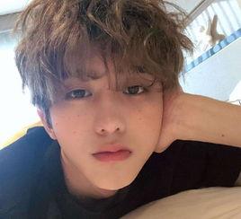 蔡小鸟最新爆料,揭秘娱乐圈幕后真相