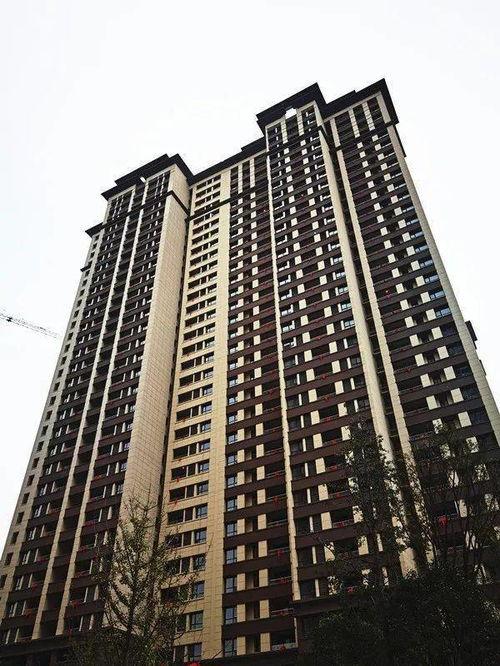 德杰状元府邸最新爆料,揭秘高端住宅的奢华与智慧