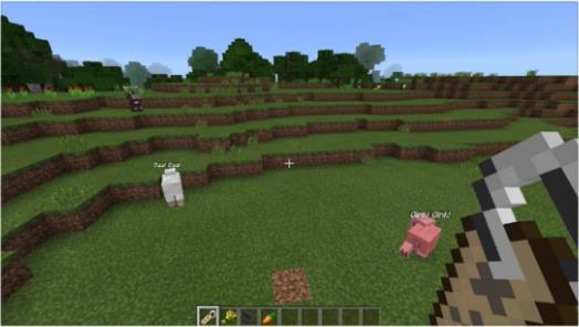 我的世界屏蔽门最新爆料,Minecraft最新屏蔽门功能曝光，游戏体验再升级！