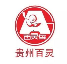 贵州百灵爆料最新消息,揭秘神秘项目背后的真相