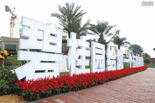 碧桂园爆料最新事件,揭秘背后真相与影响